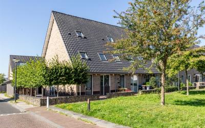 Dotterbloem. 28