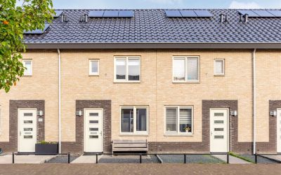 Dotterbloem. 41