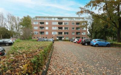 De Stag 118