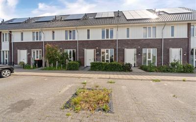 De Molen 30