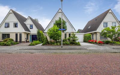 Ridderspoor. 37