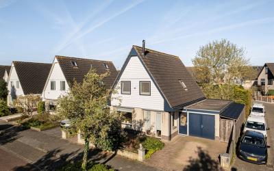 Ridderspoor. 41