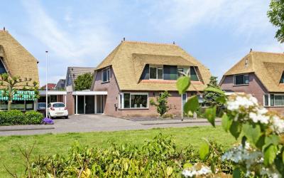 Zwanebloem 42