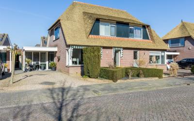 Zwanebloem 54