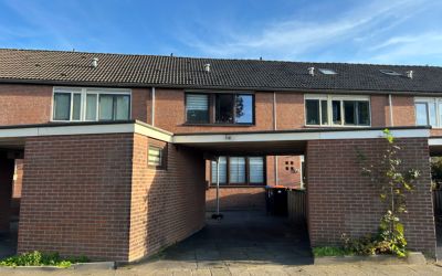 Koolzaadhof 114