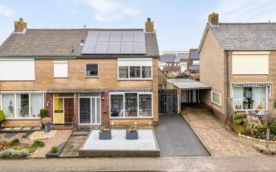 Haatlanderd. 5
