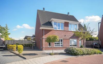 Sint Nicola. 3