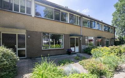 Zenegroen 3