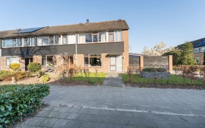 Zenegroen 23