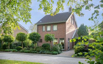 Zwanebloem 6