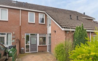 Zilverschoon 12