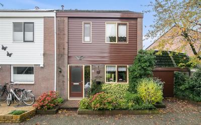 Zilverschoon 42