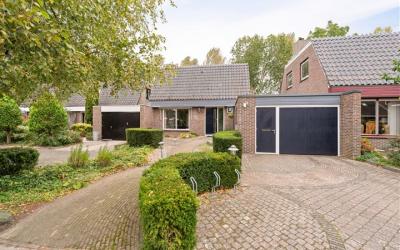 Zilverschoon 55