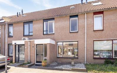 Pijlkruid 35
