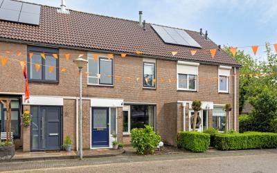 Pijlkruid 24