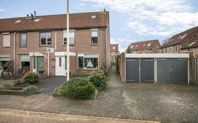 Pijlkruid 46