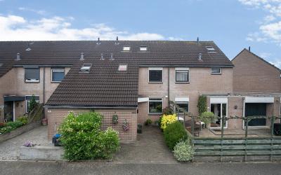 Andoorn 103