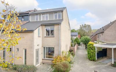 Andoorn 36