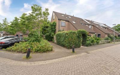 Andoorn 54