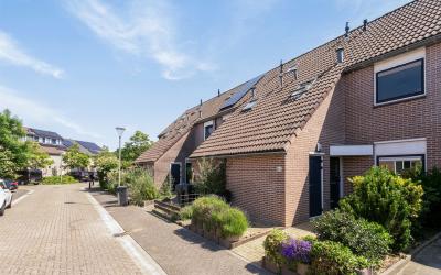 Andoorn 60