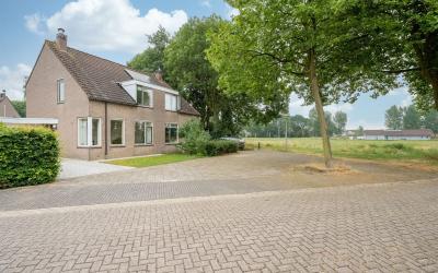 Ganzebloem 36