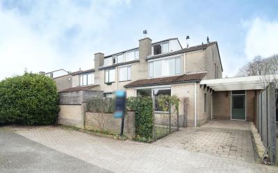 Ganzebloem 81