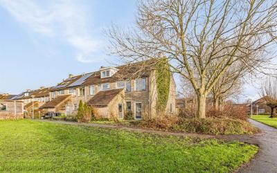 Paardebloem 28