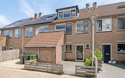 Paardebloem 36