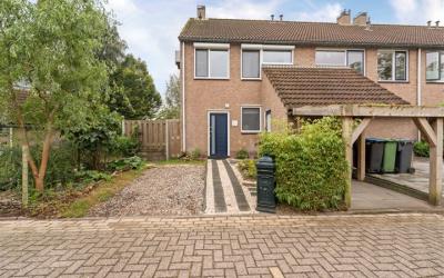 Paardebloem 22