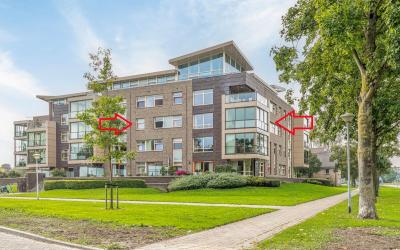 Horstsingel 20
