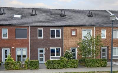 Waard 7