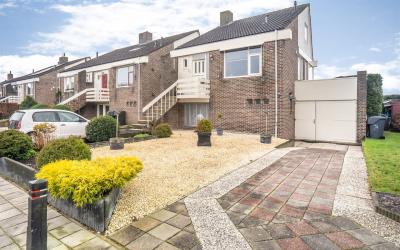 Korenbloem 24