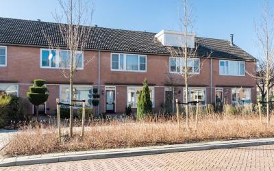 Boterbloem 18