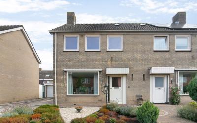 Boterbloem 3
