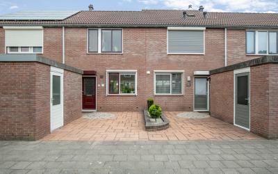 Goudplevier 36