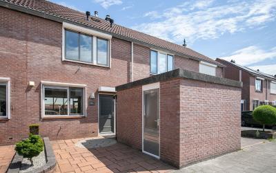 Goudplevier 38