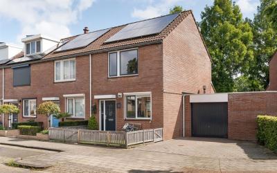 Goudplevier 74