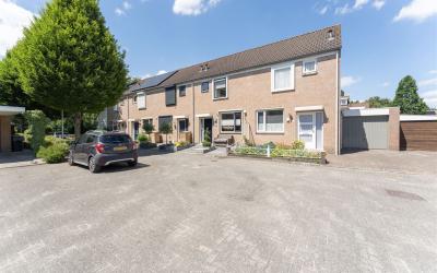 Goudplevier 31