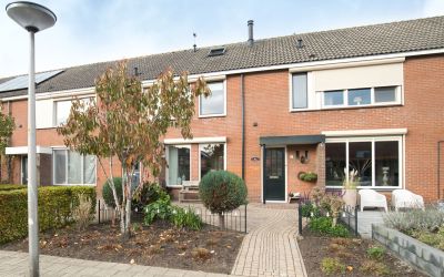 Zwaan 7