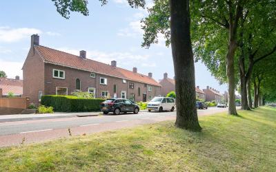 Meeuwenkant 60