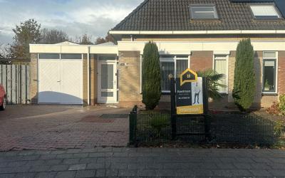 IJszee 29