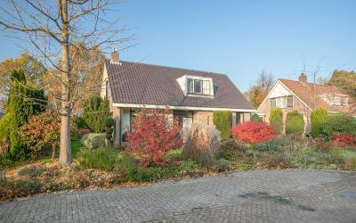 Doornspijks. 5