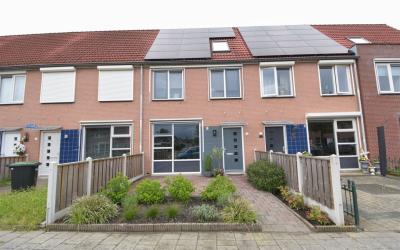 Visarend 22