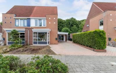 Visarend 7