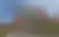 Paulus Potter 5