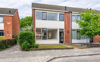 Lange Voor 29