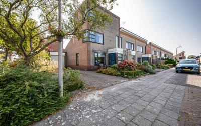 Dotterbloem 20