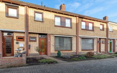 Kleine Fok 41