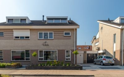 Wilgenroos 6