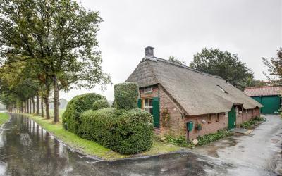 Zuurbeek 5